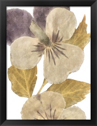 Framed Neutral Pansy I Print