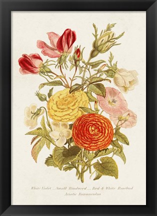 Framed Antique Floral Bouquet I Print