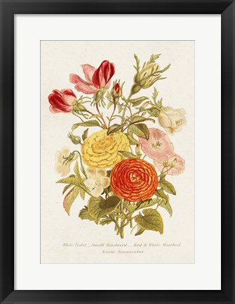 Framed Antique Floral Bouquet I Print