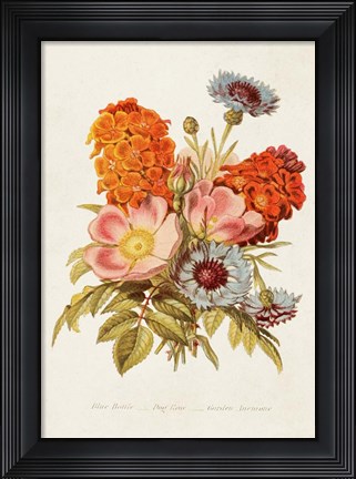 Framed Antique Floral Bouquet II Print