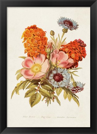 Framed Antique Floral Bouquet II Print