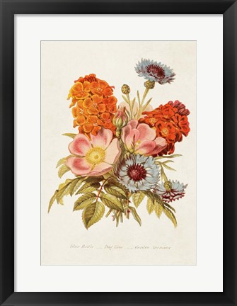 Framed Antique Floral Bouquet II Print