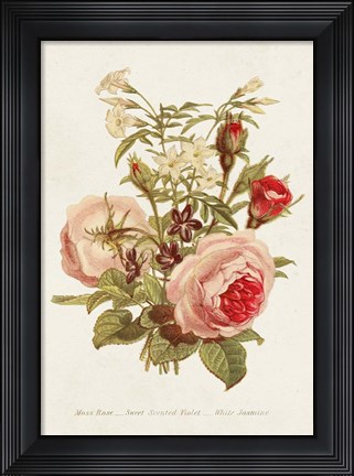 Framed Antique Floral Bouquet III Print