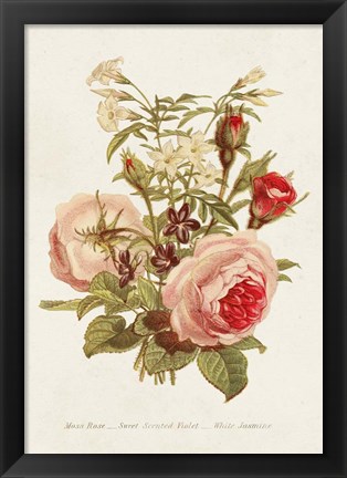 Framed Antique Floral Bouquet III Print