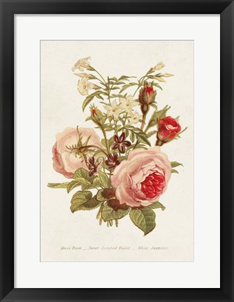 Framed Antique Floral Bouquet III Print