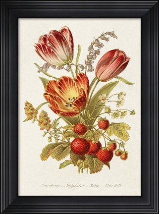 Framed Antique Floral Bouquet IV Print