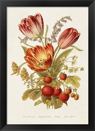 Framed Antique Floral Bouquet IV Print