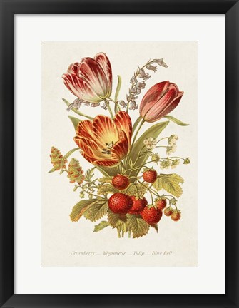 Framed Antique Floral Bouquet IV Print