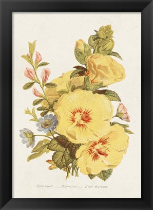 Framed Antique Floral Bouquet VI Print