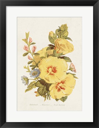 Framed Antique Floral Bouquet VI Print