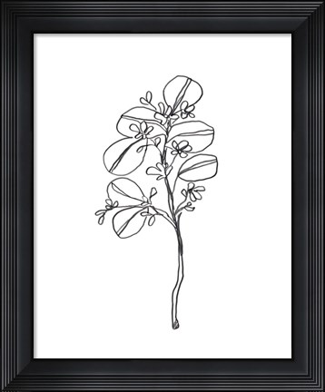 Framed Leaf Sprig II Print