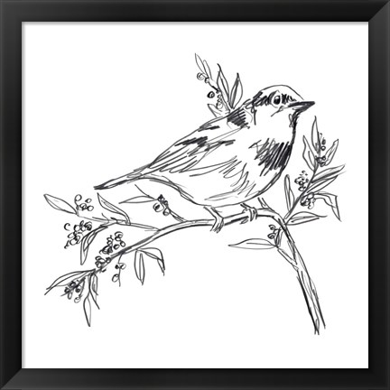 Framed Simple Songbird Sketches I Print