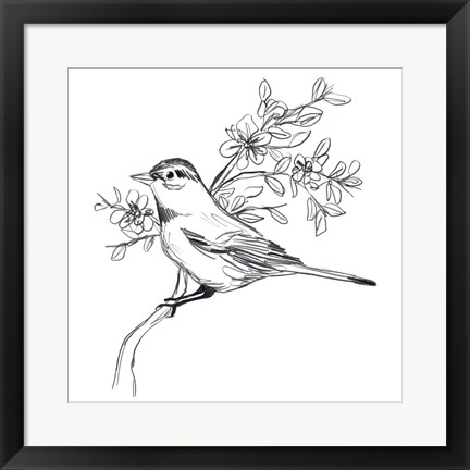 Framed Simple Songbird Sketches III Print