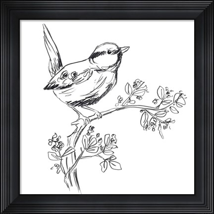 Framed Simple Songbird Sketches IV Print