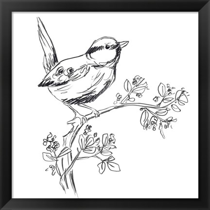 Framed Simple Songbird Sketches IV Print