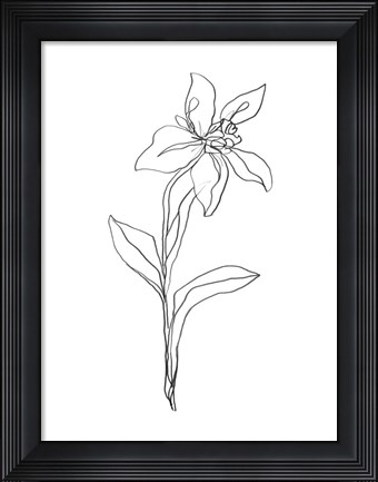 Framed Simple Daffodil I Print