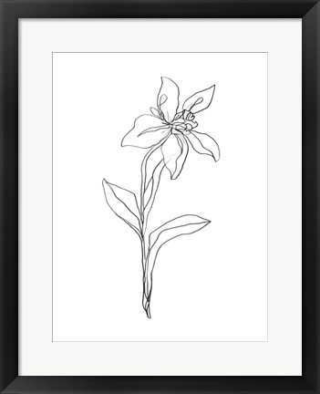 Framed Simple Daffodil I Print