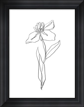 Framed Simple Daffodil II Print