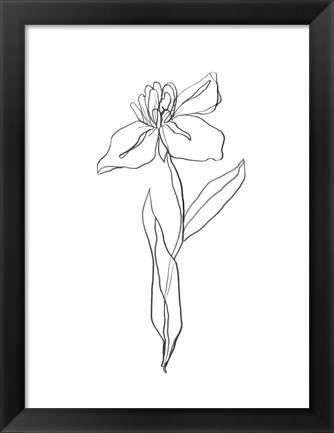 Framed Simple Daffodil II Print