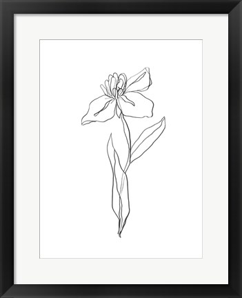 Framed Simple Daffodil II Print