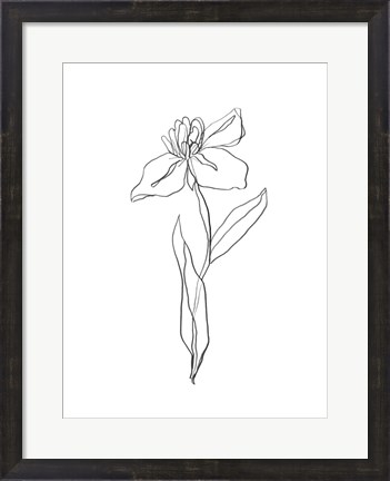 Framed Simple Daffodil II Print