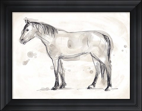 Framed Vintage Equine Sketch I Print