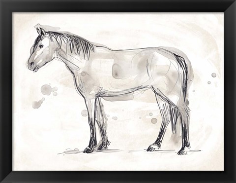 Framed Vintage Equine Sketch I Print