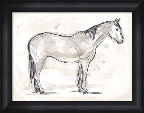 Framed Vintage Equine Sketch II Print