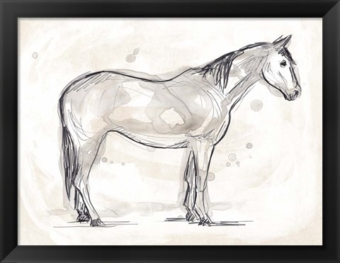 Framed Vintage Equine Sketch II Print