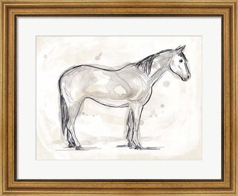 Framed Vintage Equine Sketch II Print