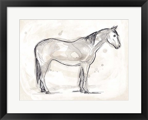 Framed Vintage Equine Sketch II Print