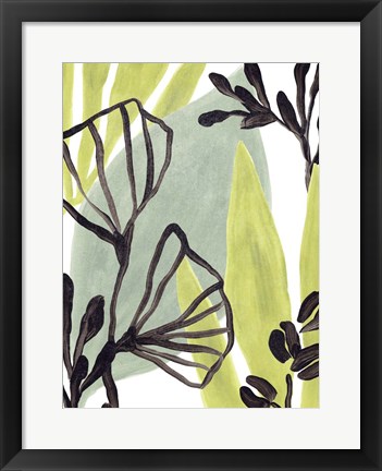 Framed Tropical Collage II Print