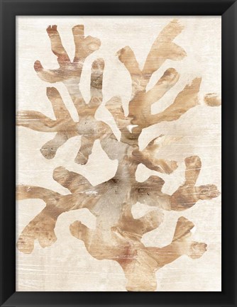 Framed Parchment Coral I Print
