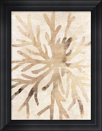 Framed Parchment Coral II Print
