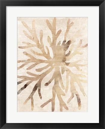 Framed Parchment Coral II Print