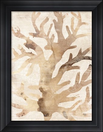 Framed Parchment Coral III Print