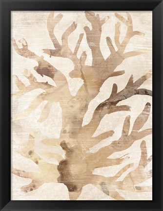Framed Parchment Coral III Print
