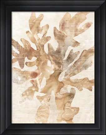 Framed Parchment Coral IV Print