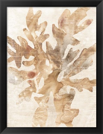 Framed Parchment Coral IV Print