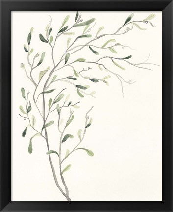 Framed Spindle Sprig II Print