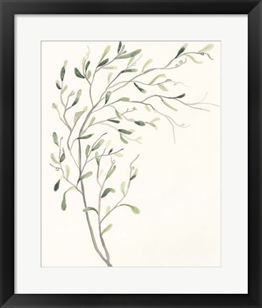 Framed Spindle Sprig II Print