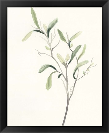 Framed Spindle Sprig III Print