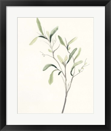 Framed Spindle Sprig III Print