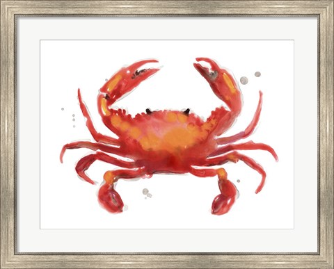 Framed Crab Cameo I Print
