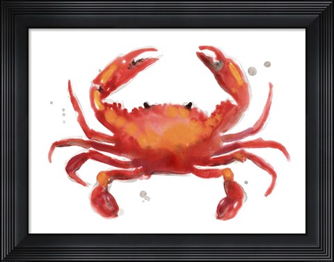 Framed Crab Cameo I Print