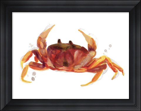 Framed Crab Cameo III Print