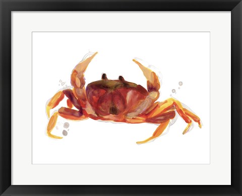 Framed Crab Cameo III Print