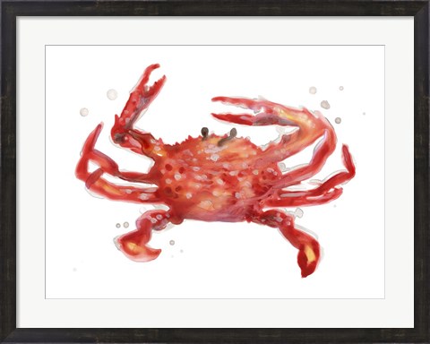 Framed Crab Cameo IV Print