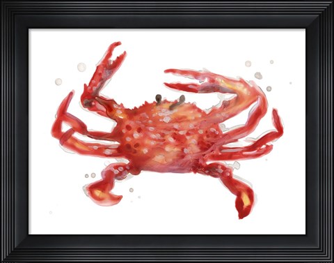 Framed Crab Cameo IV Print