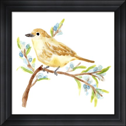 Framed Springtime Songbirds II Print